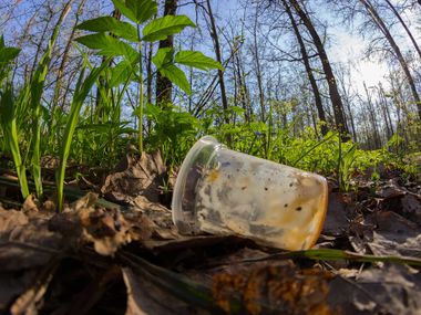 Artikelbild Biologisch abbaubar, kompostierbar und biobasiert: Was steckt wirklich hinter diesen Begriffen?