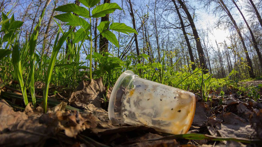 Artikelbild Biologisch abbaubar, kompostierbar und biobasiert: Was steckt wirklich hinter diesen Begriffen?