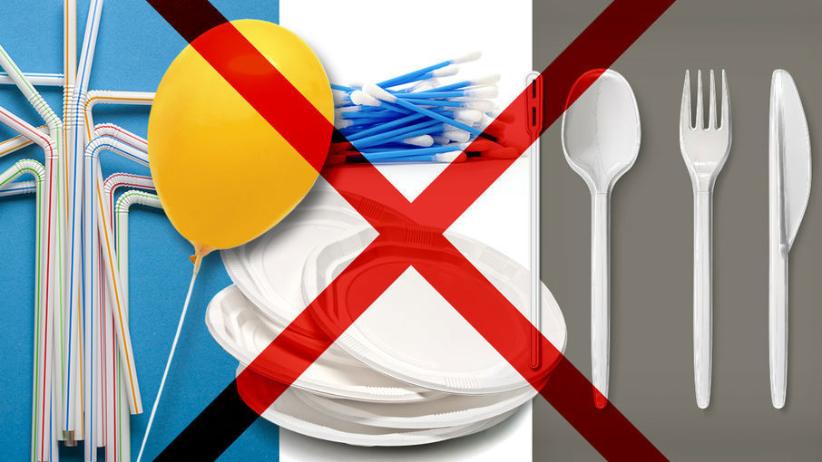 Artikelbild EU-Plastikverbot