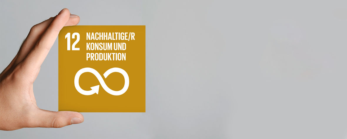 Nachhaltiger Konsum und Produktion