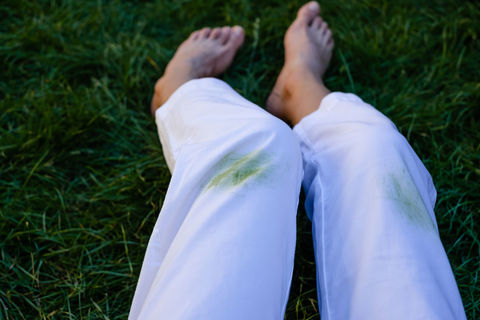 © HalynaRom - stock.adobe.com - 377008884