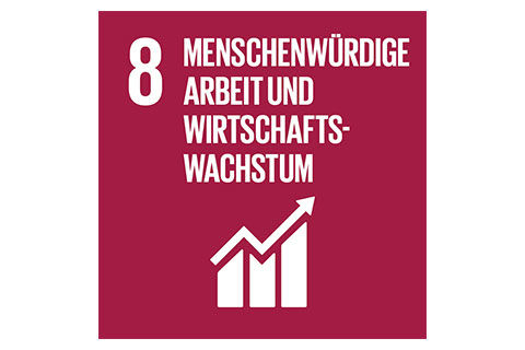 SDG-icon-DE-08