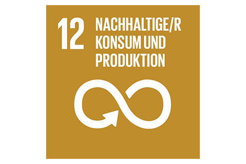 SDG-icon-DE-12