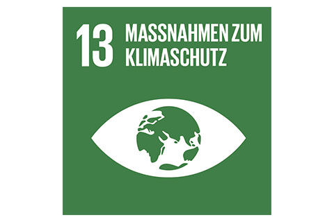SDG-icon-DE-13