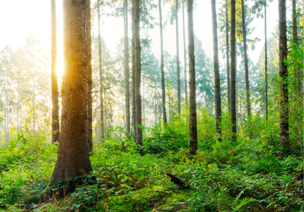 igefa Nachhaltigkeit Header