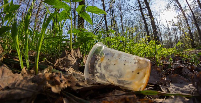 Artikelbild Biologisch abbaubar, kompostierbar und biobasiert: Was steckt wirklich hinter diesen Begriffen?