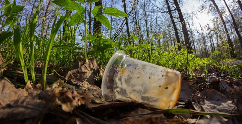 © lijphoto / stock.adobe.com / 218396167 Artikelbild Biologisch abbaubar, kompostierbar und biobasiert: Was steckt wirklich hinter diesen Begriffen?