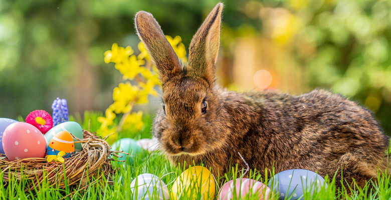 © drubig-photo / stock.adobe.com / 329674122