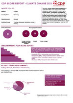 CDP Score Report