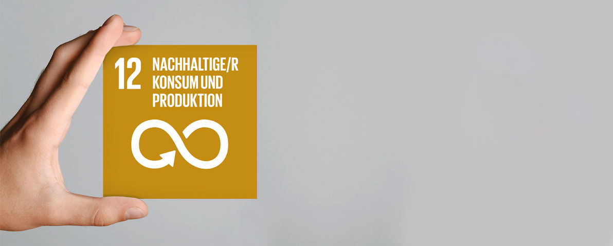 Nachhaltiger Konsum und Produktion