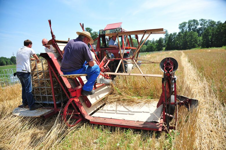 © biostrohhalme.co.at Maehmaschine-Stroh-fuer-Web
