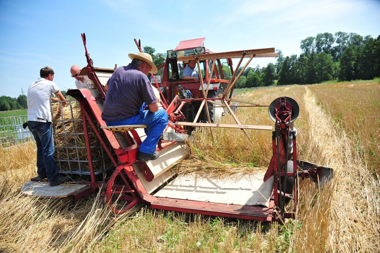 Maehmaschine-Stroh-fuer-Web